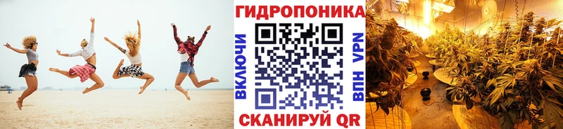 Купить закладки  Слюдянка  Шишки марихуана AK-47 
